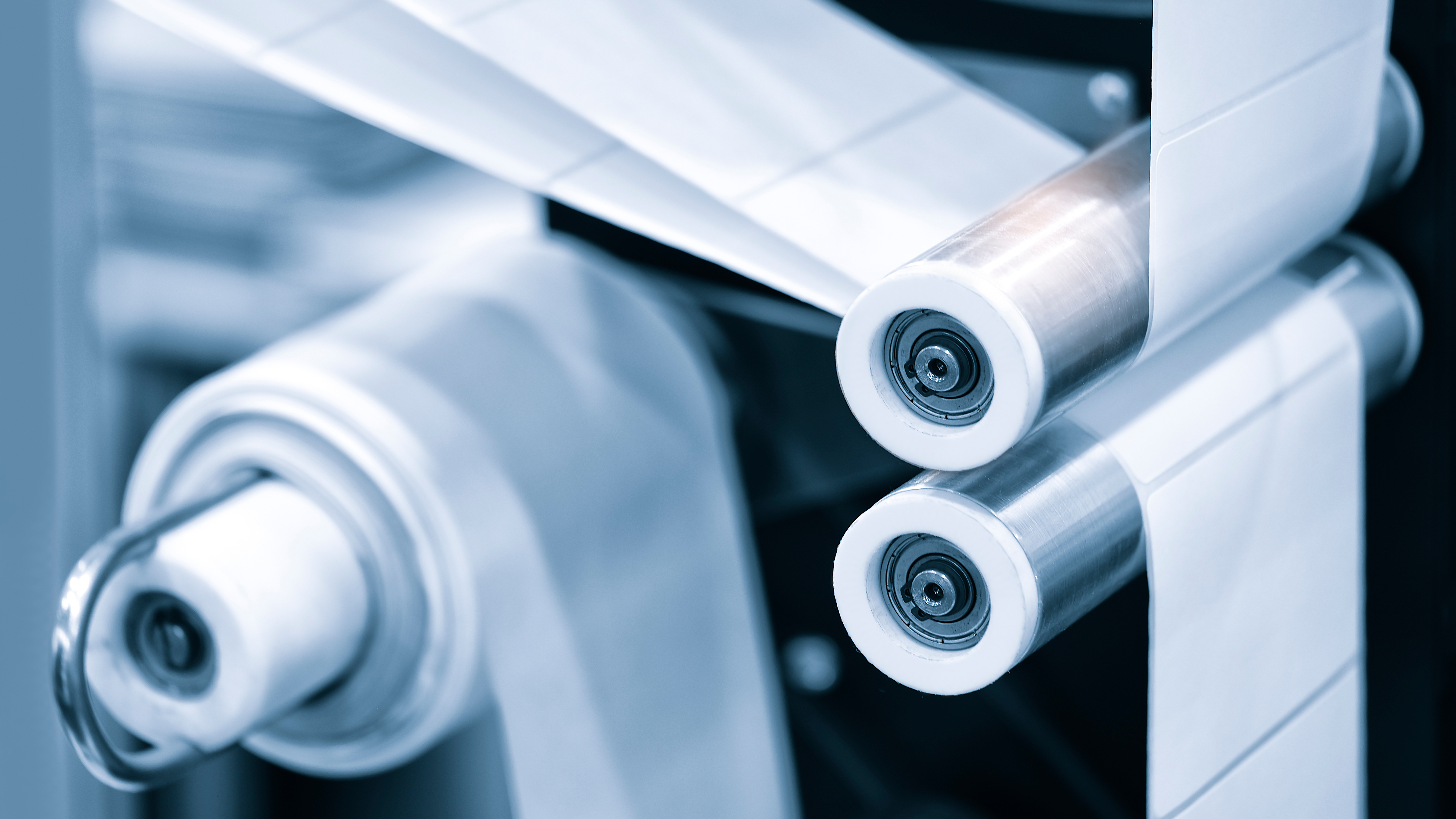 Veredelung_585531631.jpeg Veredelung_585531631